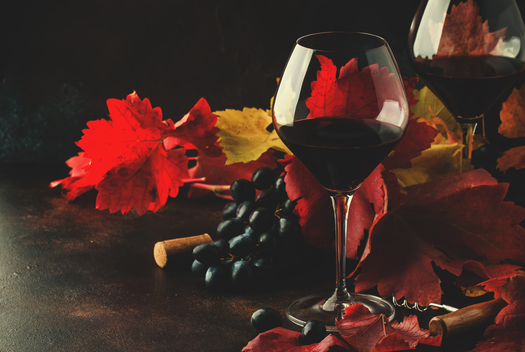 Pint Noir Wineglass with Fall Leaves
