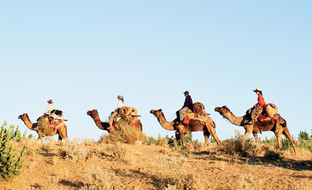 Camel trek in India's Thar Desert