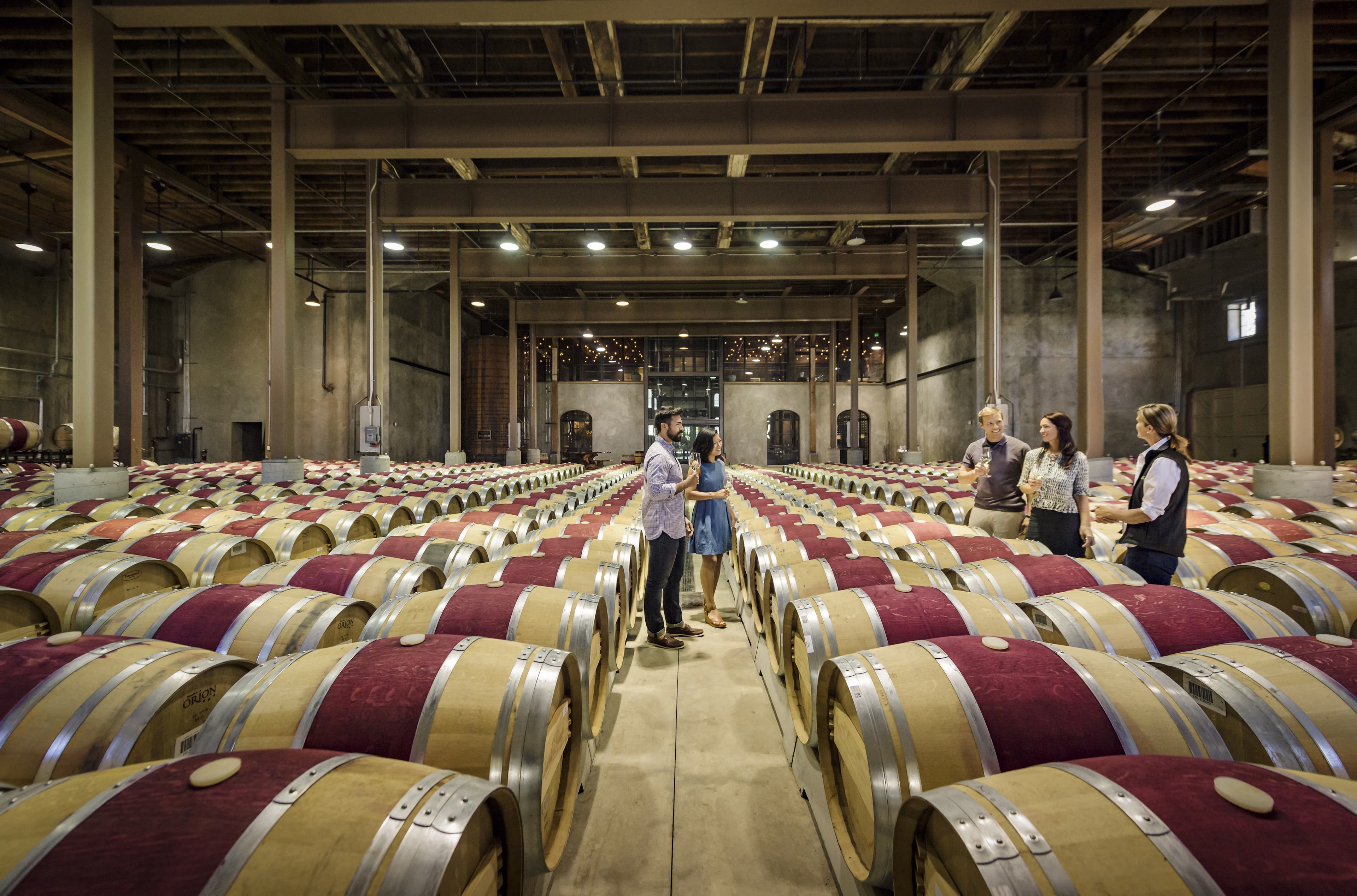 wine barrels lining warehouse floor