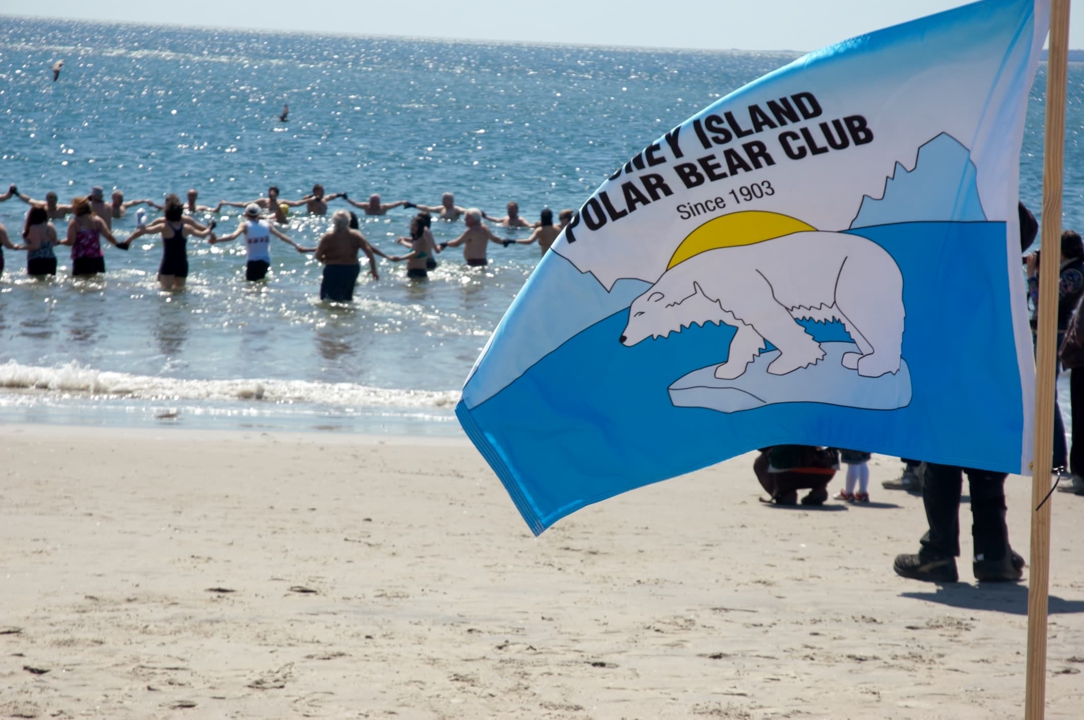 Polar Bear Club Swimmers on New Year's Day in Coney island