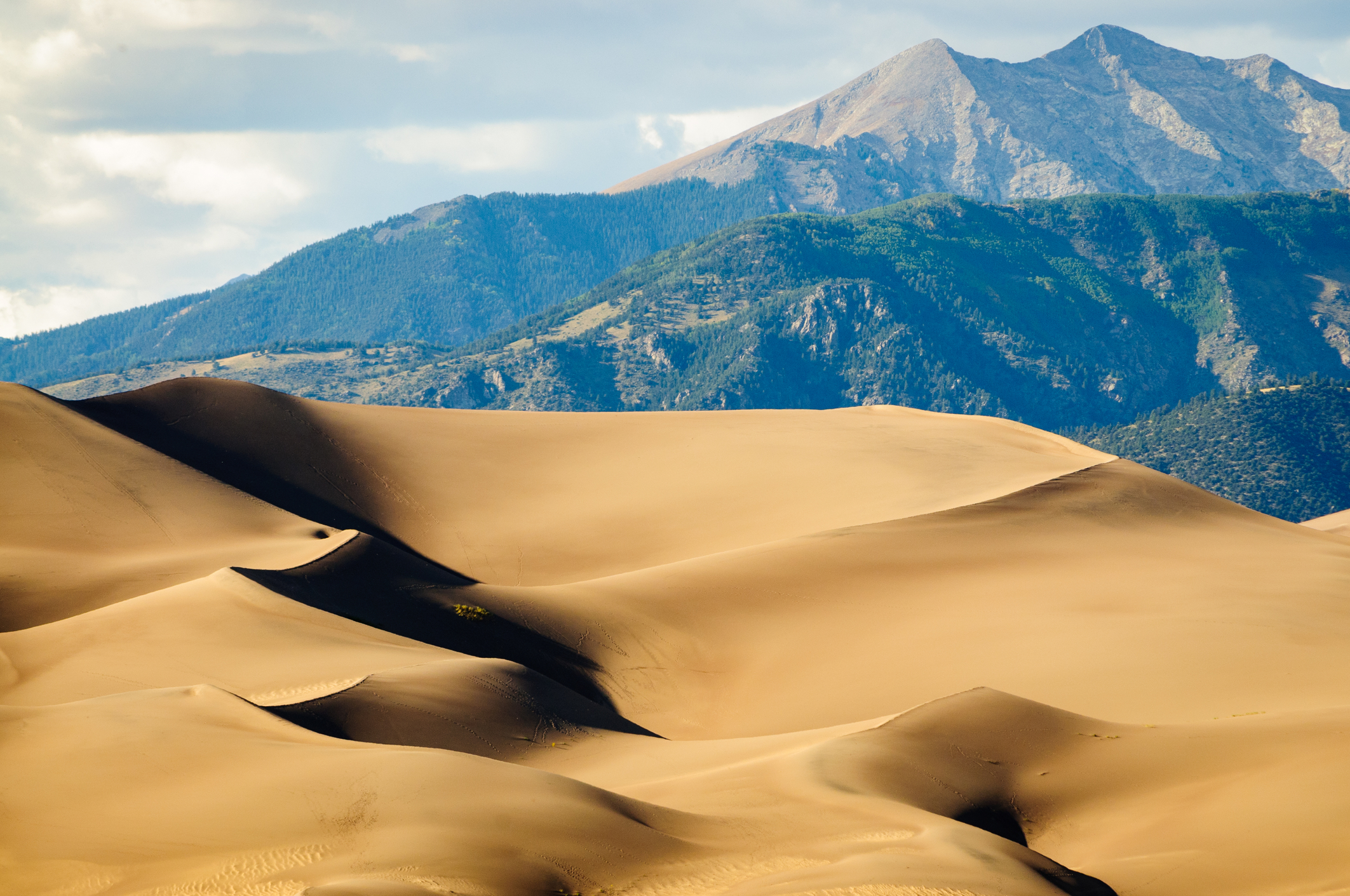 sand dunes with mountain range in backgroud