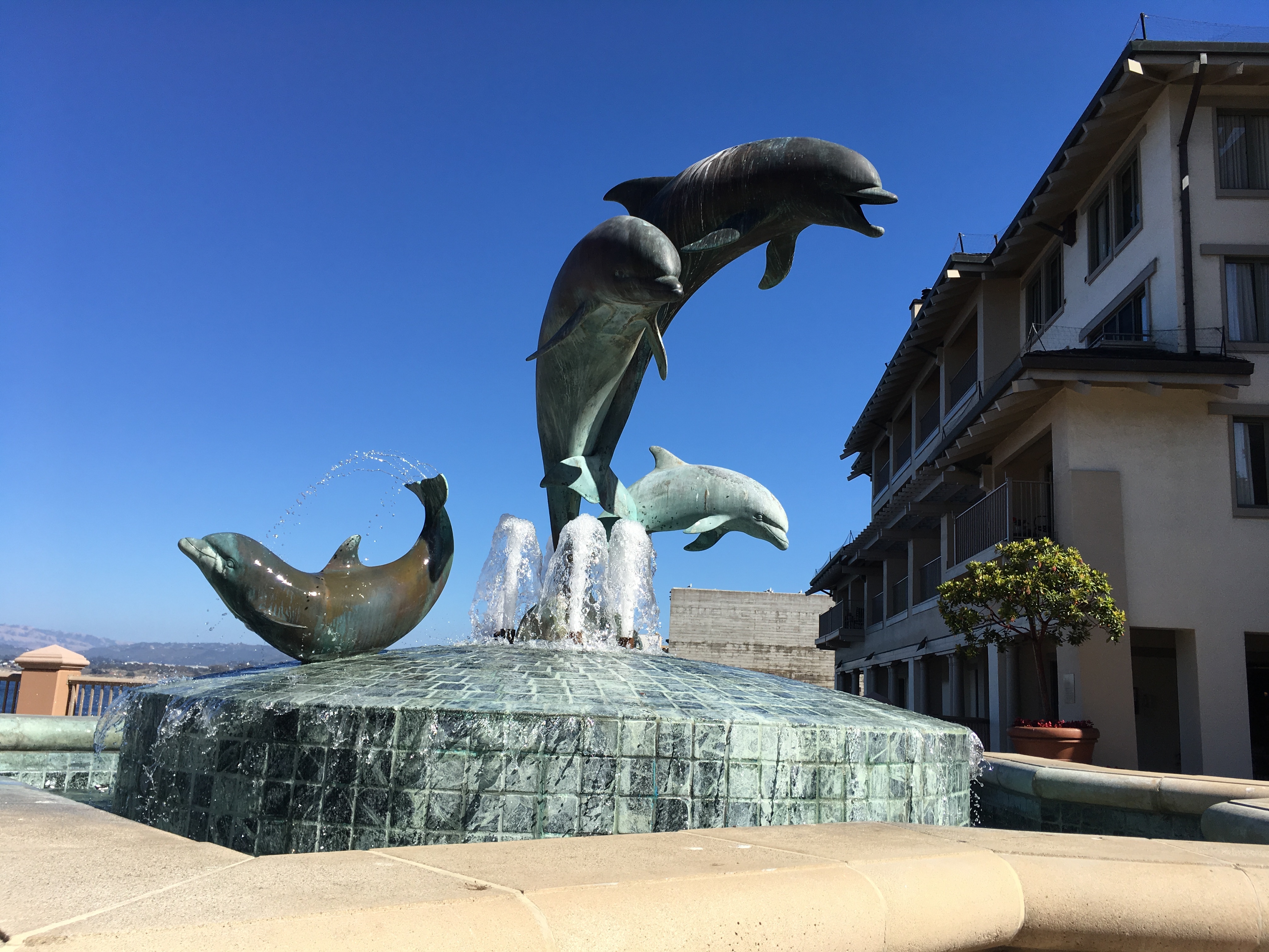 Monterey CA porpoise sculpture