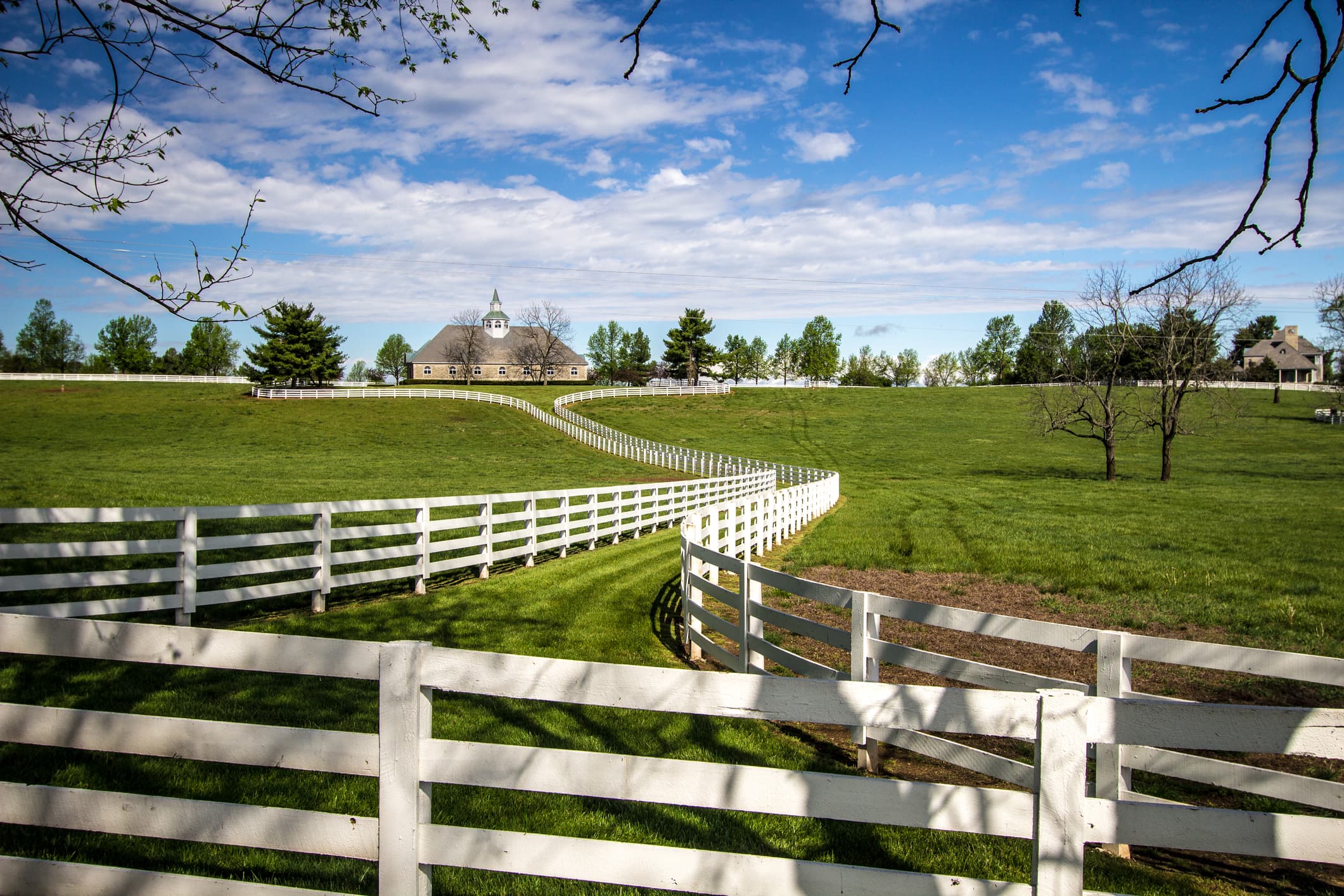 View of a Kentucky Horse Farm with charming white fences.