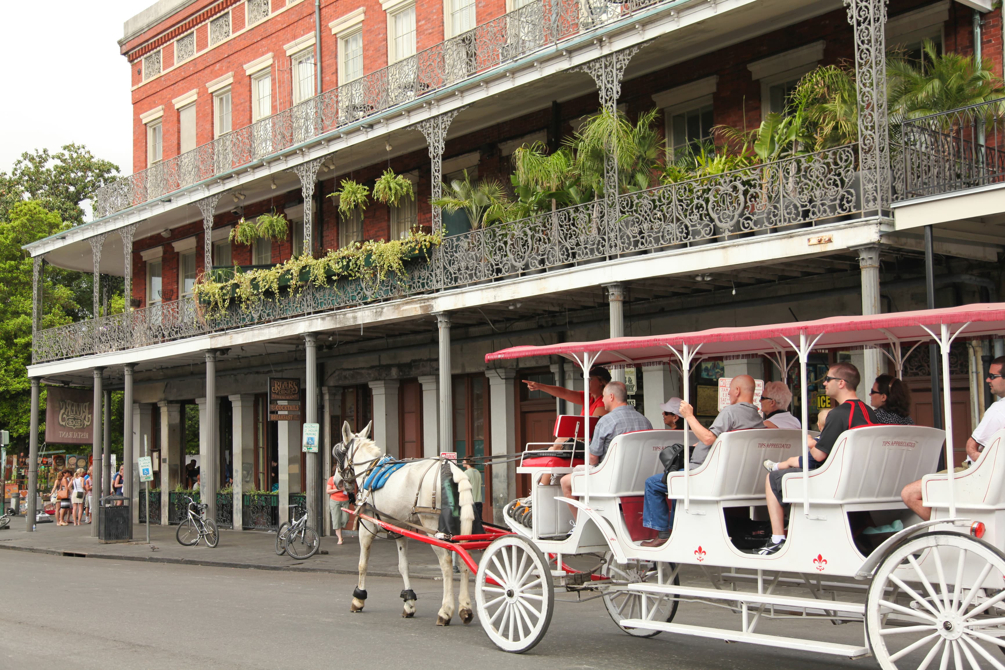 New Orleans Carriage Tour French Quarter