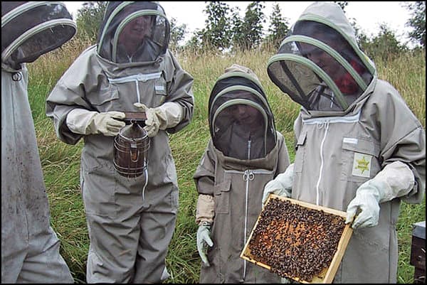 0605_where_beekeepers