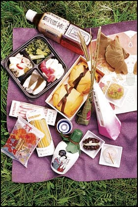 0606_splurge_picnic