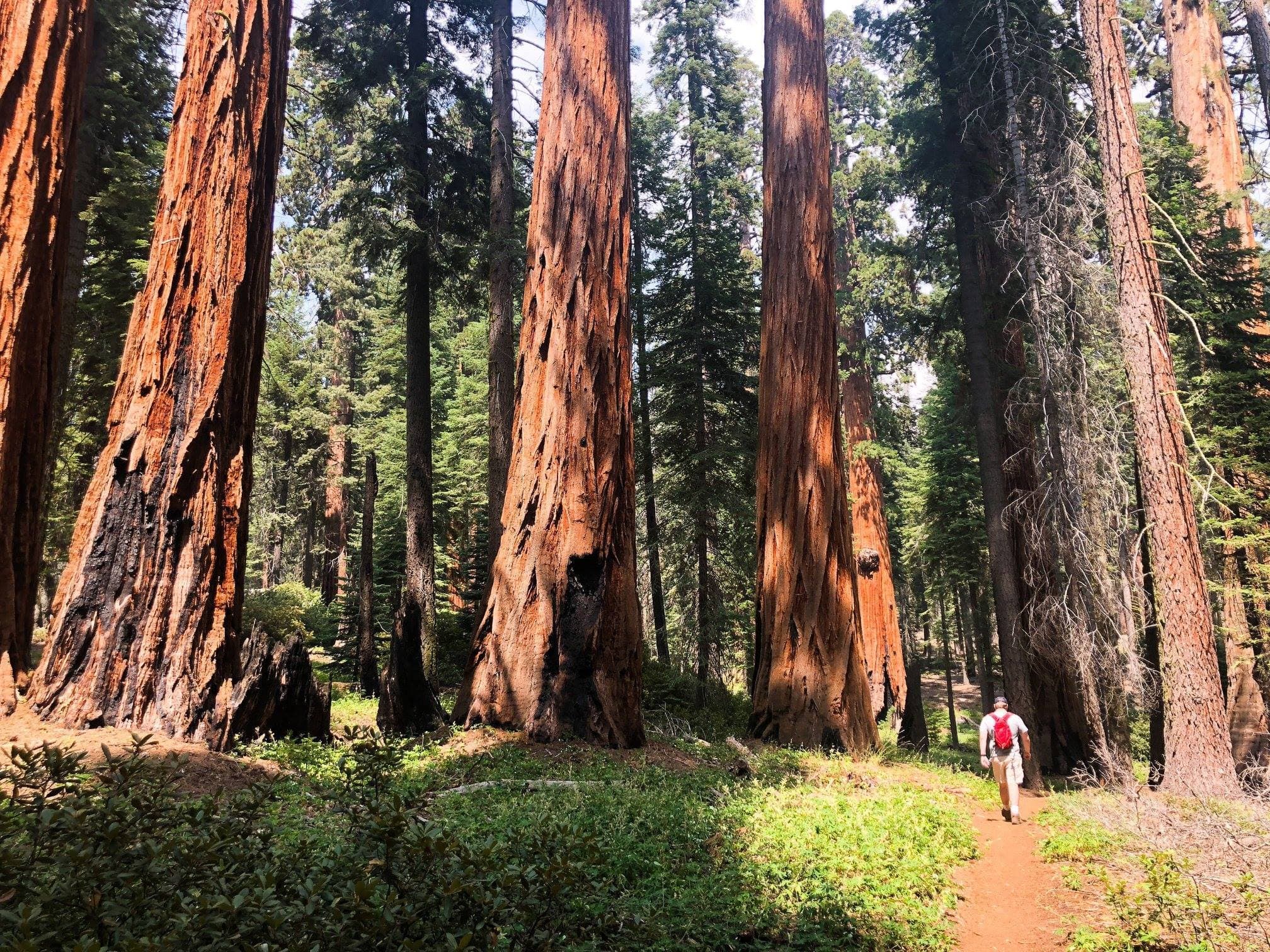 Sequoia National Park Sept 2018