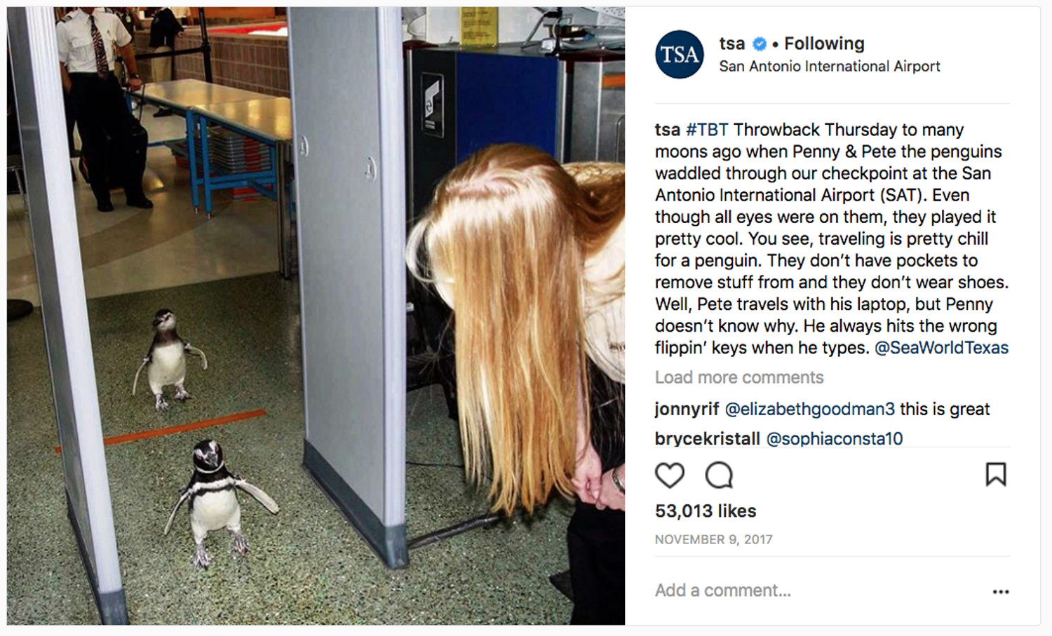 penguins walking through security TSA Instagram post