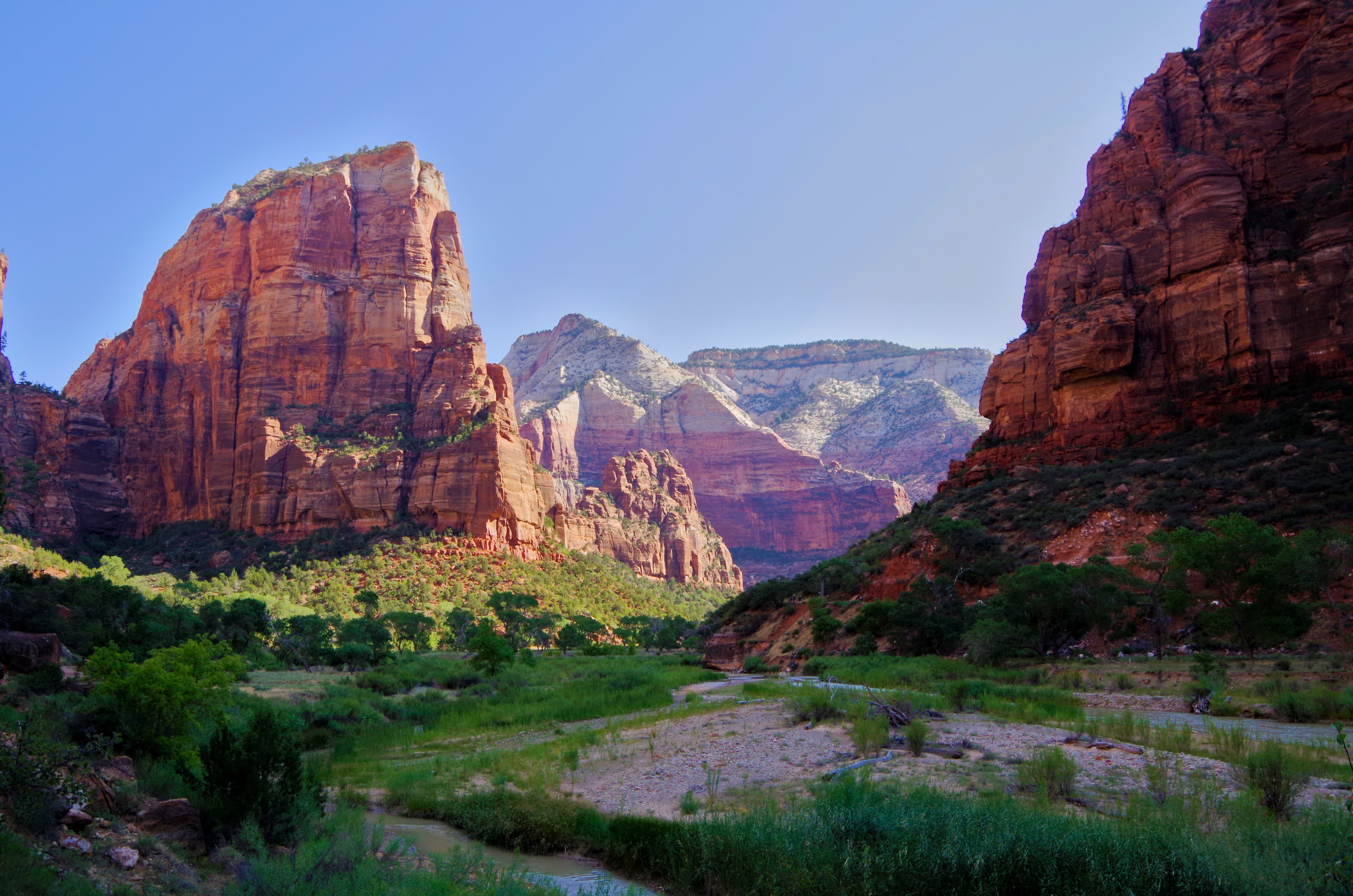 A Panoramic View of Zion National Park