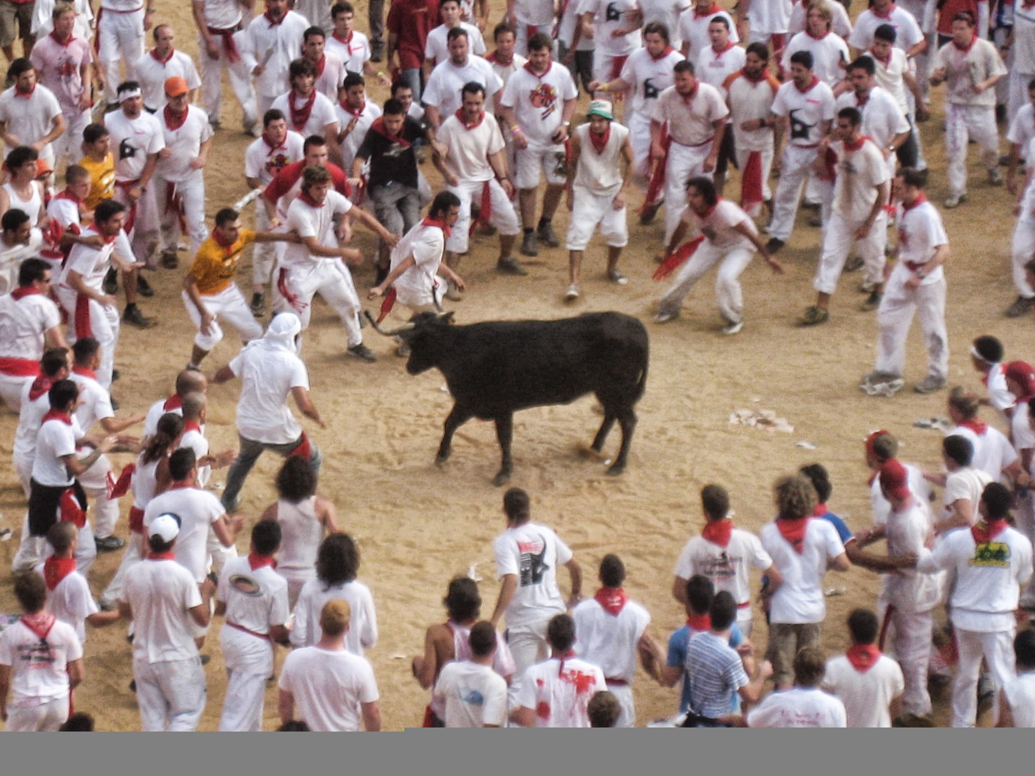 Angry - running of the bulls