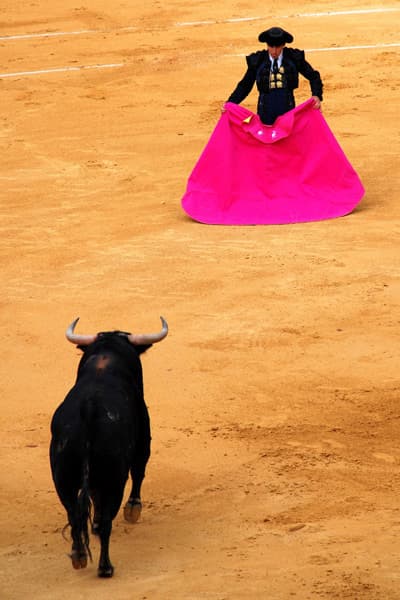 blog_100803_bullfights_popup_original.jpg