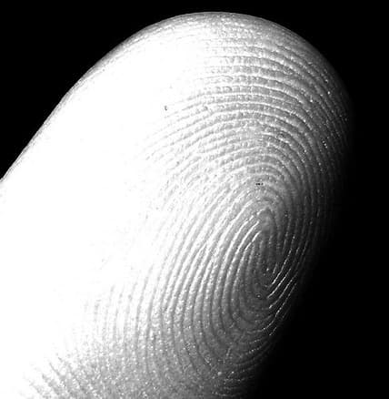 blog_fingerprint_original.jpg