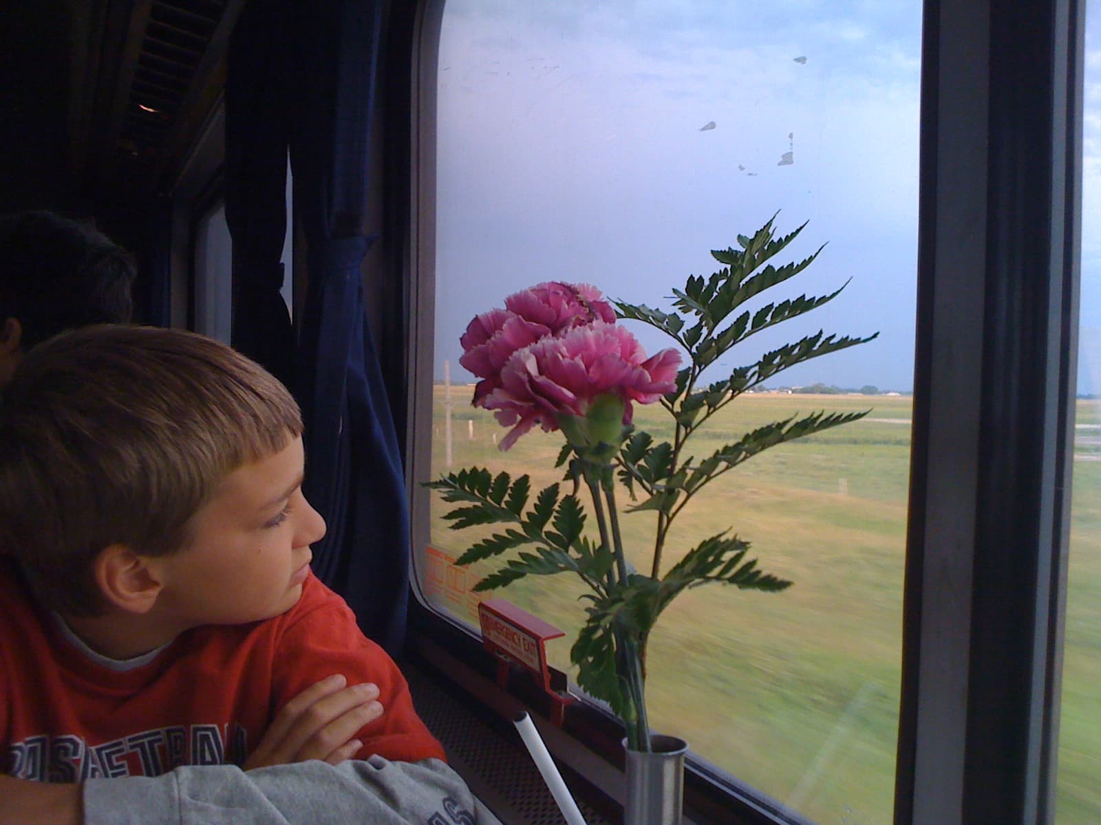 Boy looking out train window tips for traveling with kids