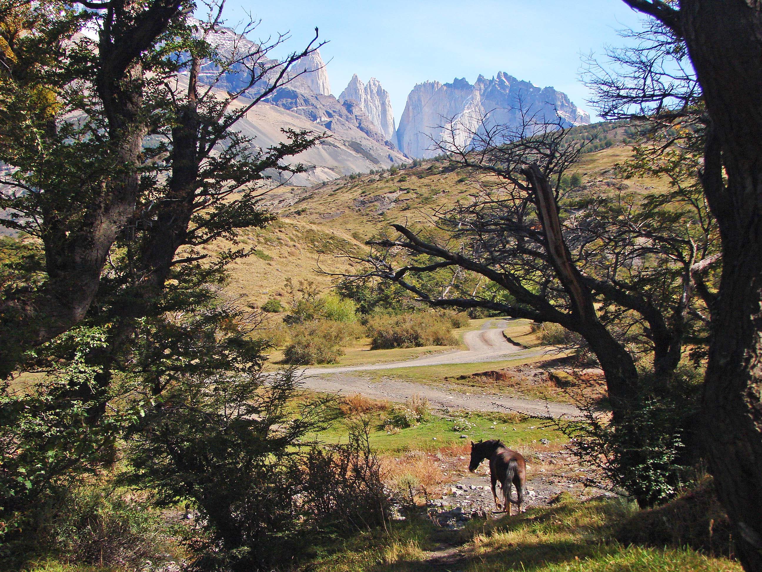 Beautiful view at Torres del Paine in Chilean Patagonia.