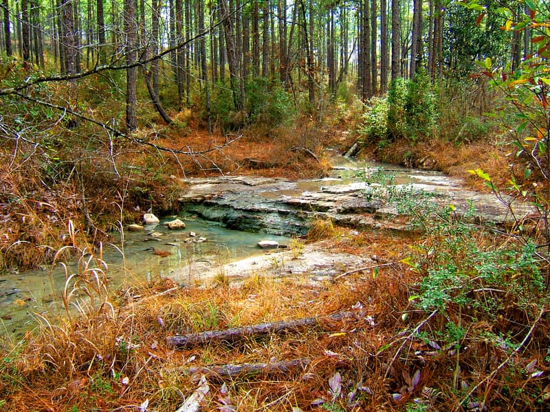 A view of a stream and waterfall in Kisatchie National Forest, Louisiana