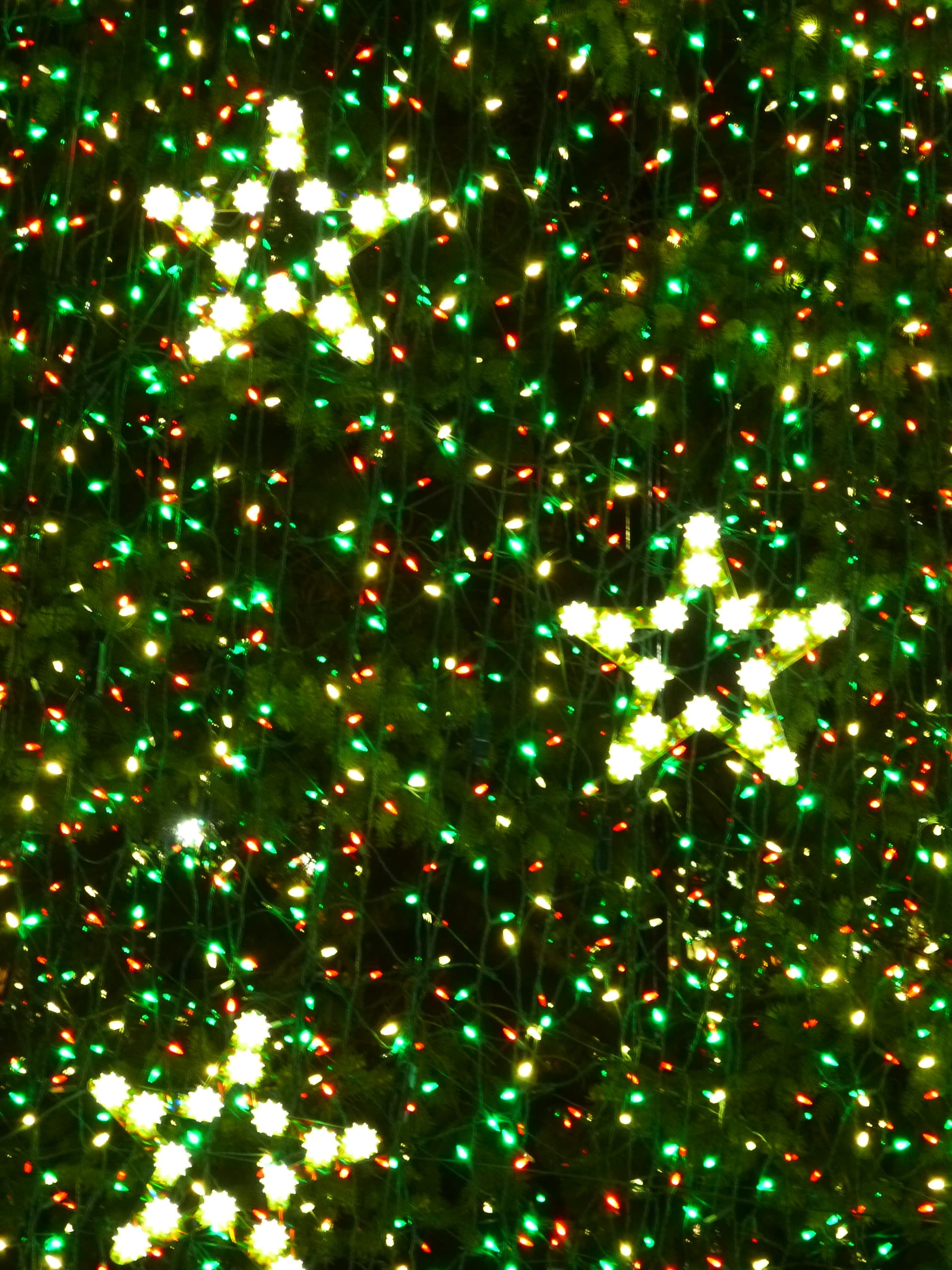 Led lights at the national christmas tree