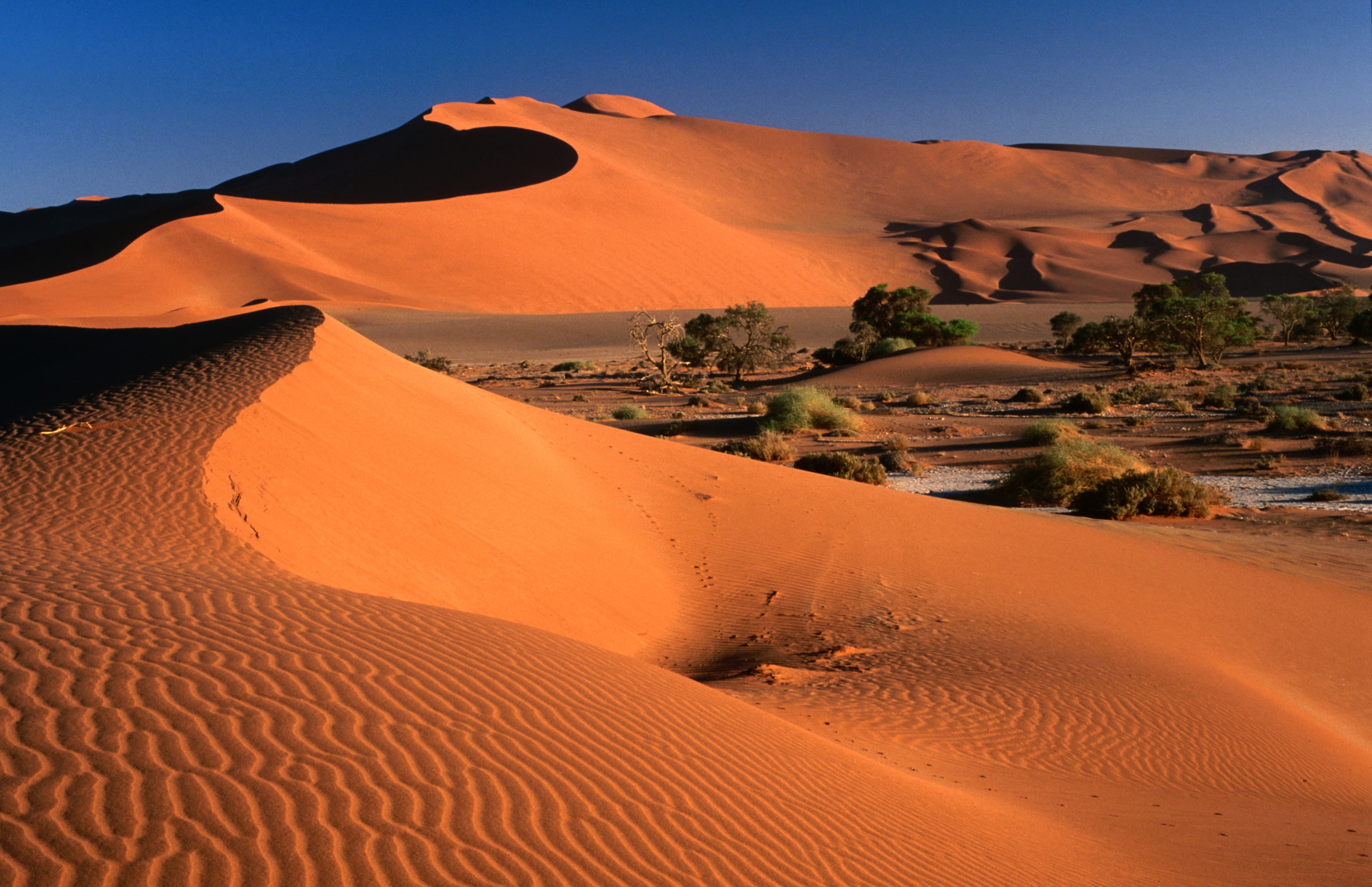 Namib sand dunes, Namibia Desert Park