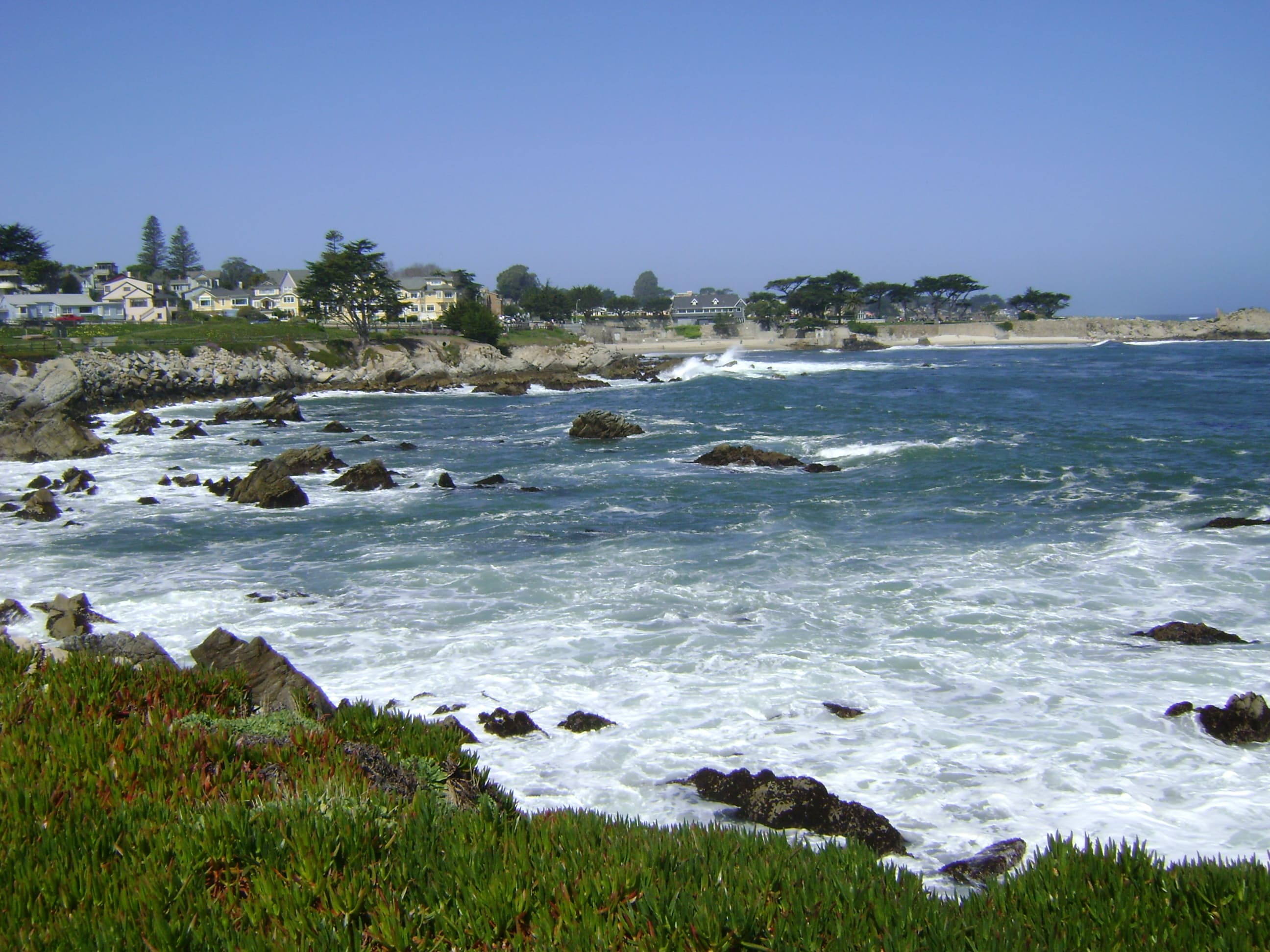 Monterey coast near lover&#39;s point