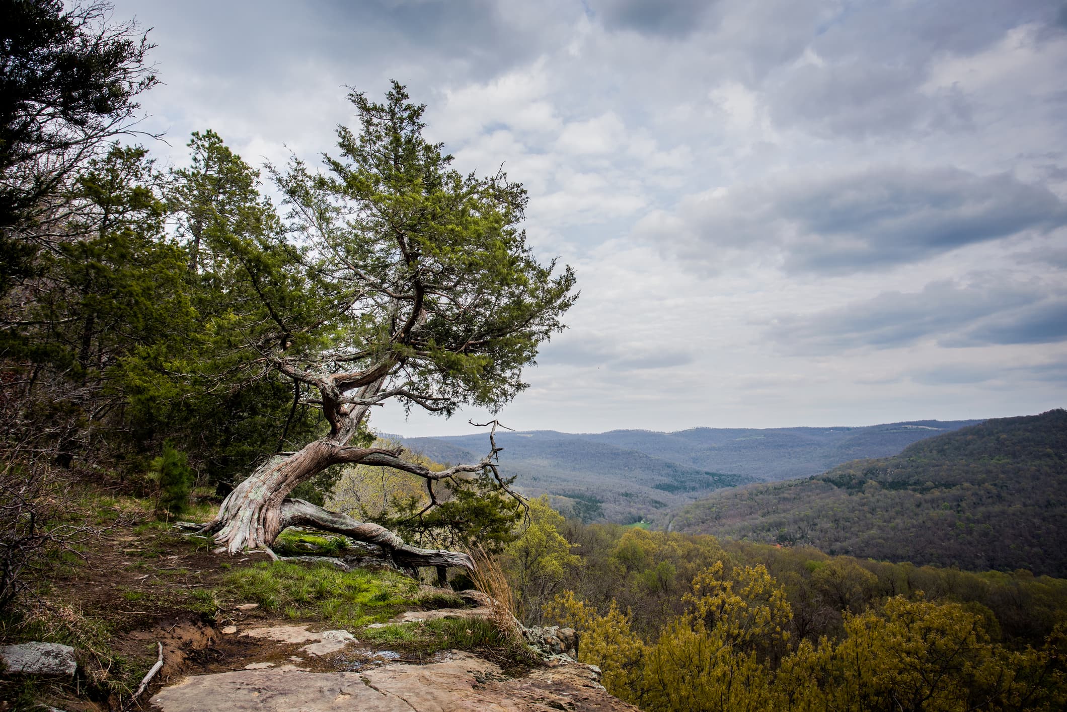 A popular overlook at Ozark National Forest, Arkansas.
