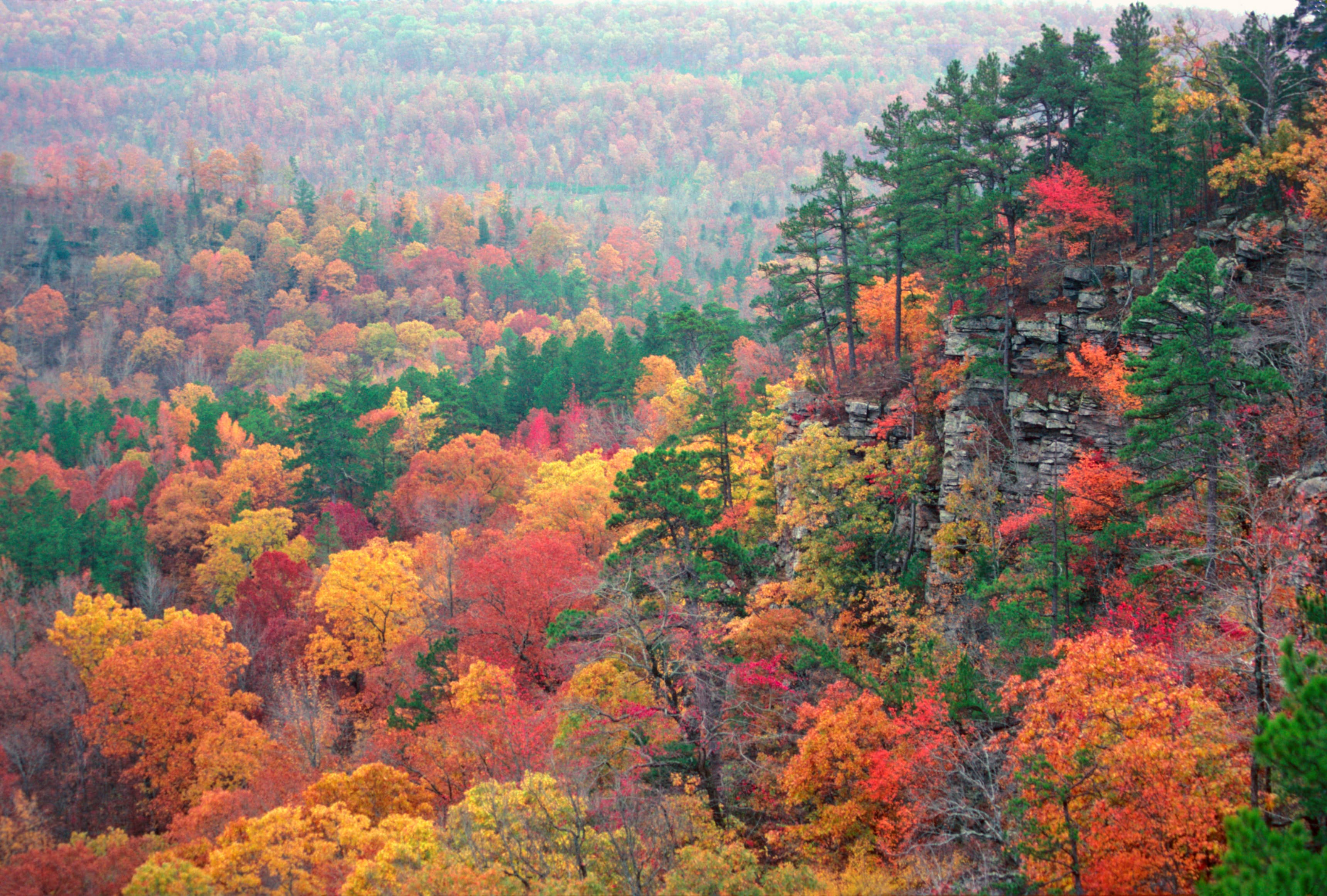 hidden, valley, arkansas, fall, color
