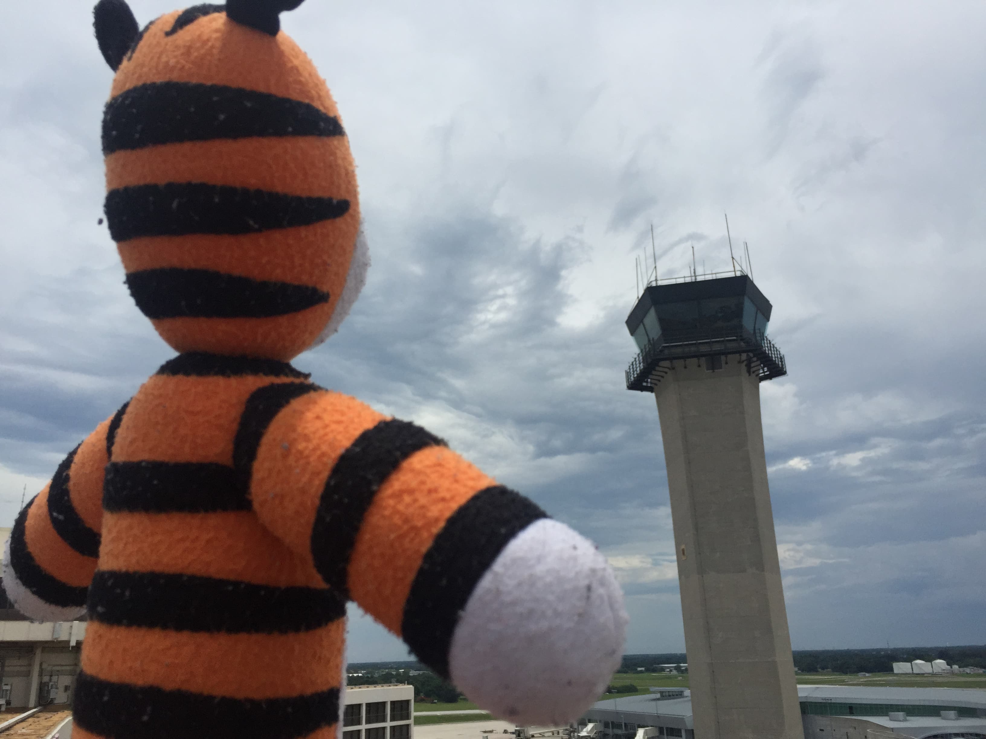 Stuffed Tiger Looking at Tampa Air Control Tower