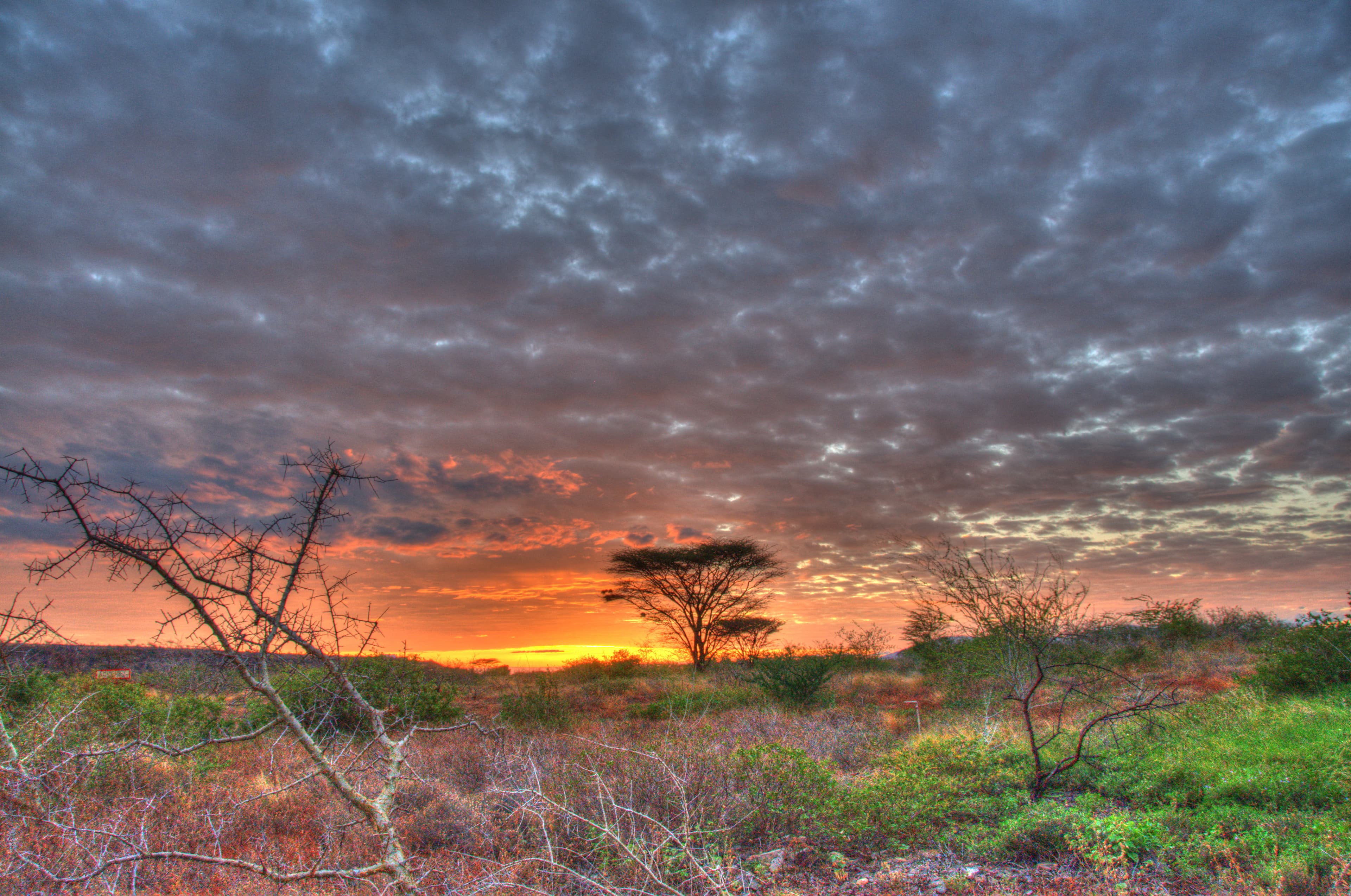 sunrise in Kenya