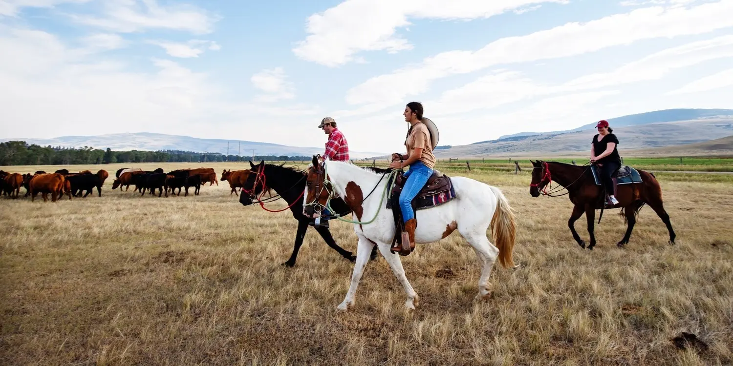 Big Sky Country dude ranch experience for 2 w/meals - $1385