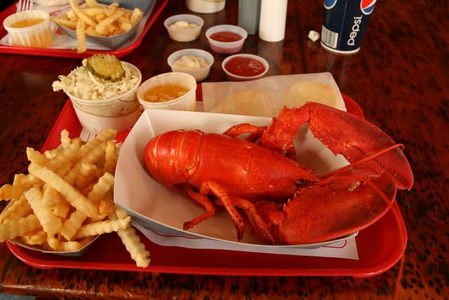 The Lobster Shack at Two Lights in Cape Elizabeth, Maine