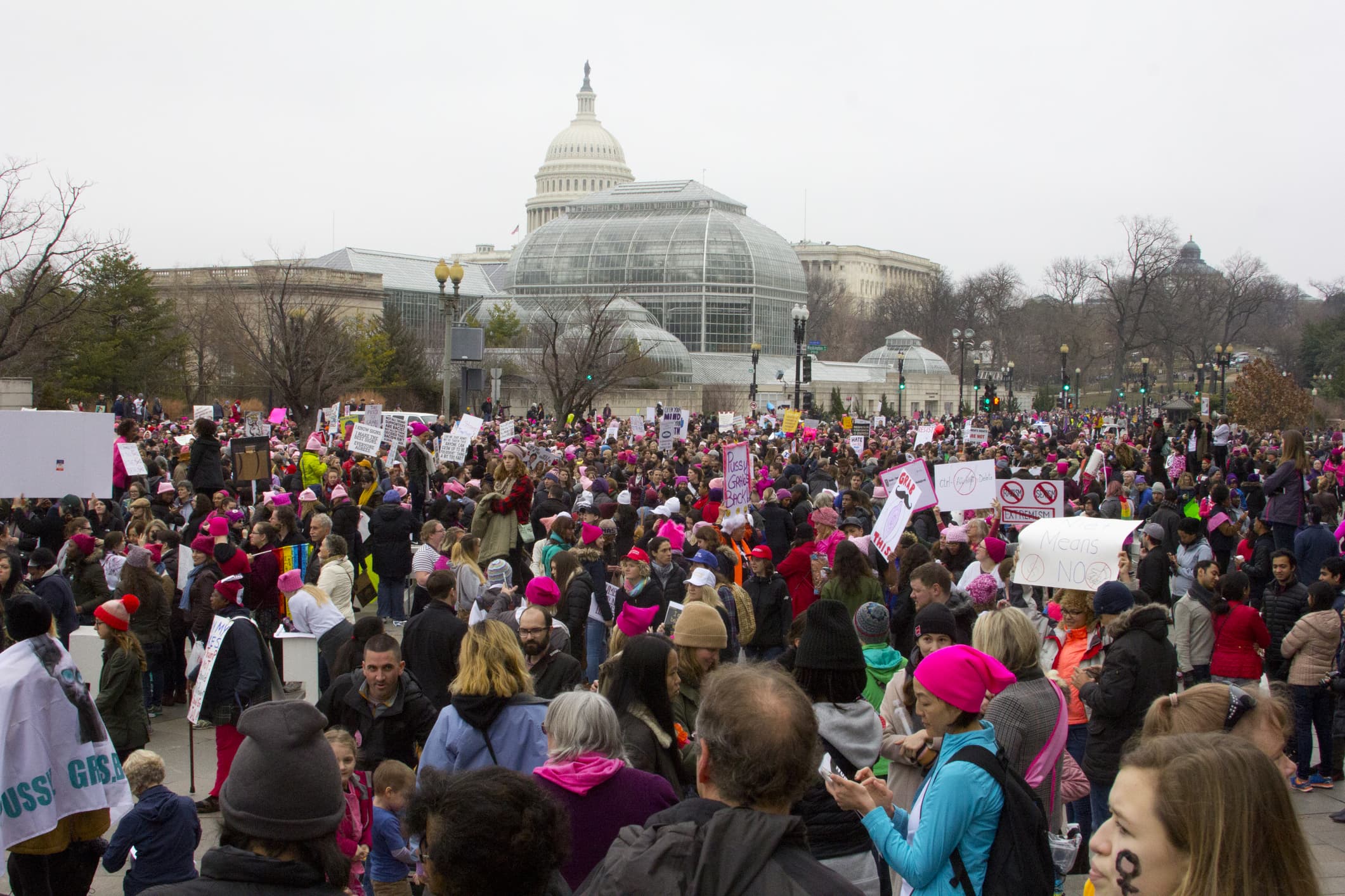 A view from a crowd of marchers at the Women's March in Washington, D.C., with the Capitol building.