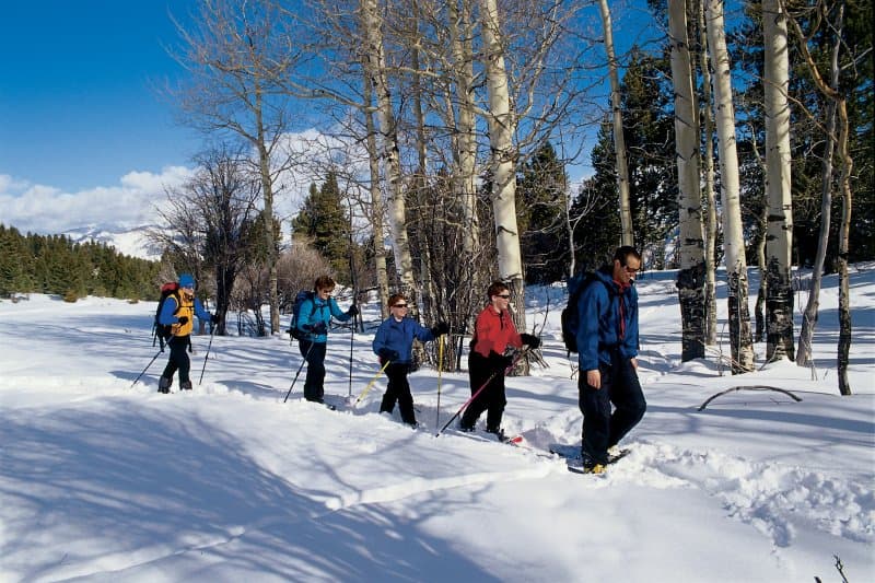 Yellowstone National Park Cross-Country Skiing