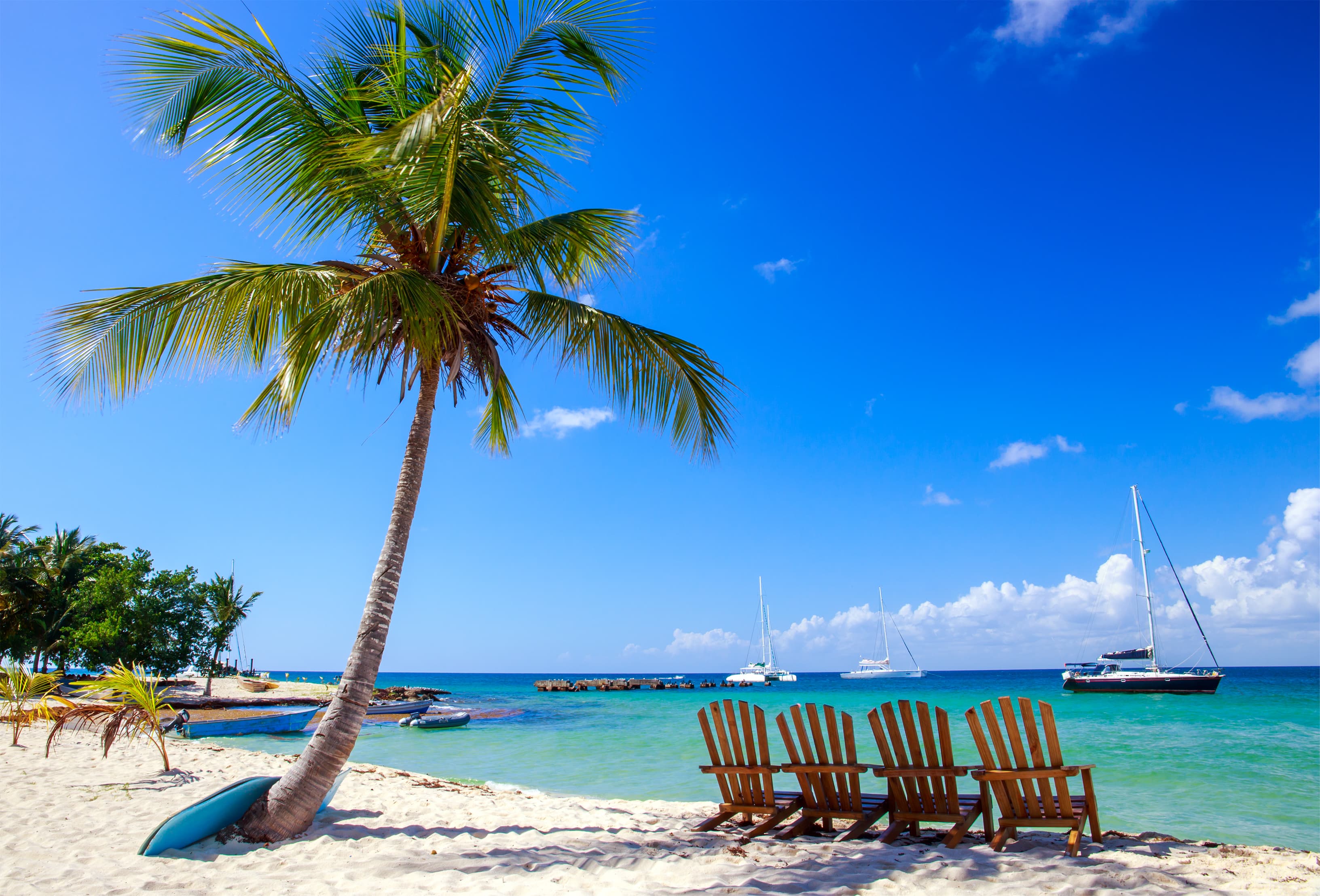 Palm Tree chairs beach